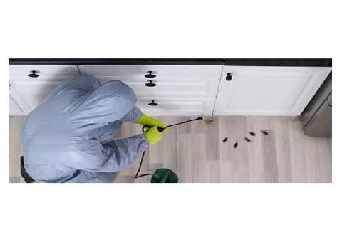 Frontline Pest Control Hobart