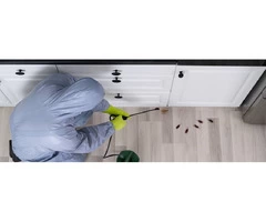 Frontline Pest Control Hobart