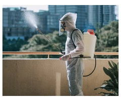 Professional Pest Control Specialist In Sydney.