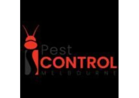 I Spider Control Melbourne - 1/3