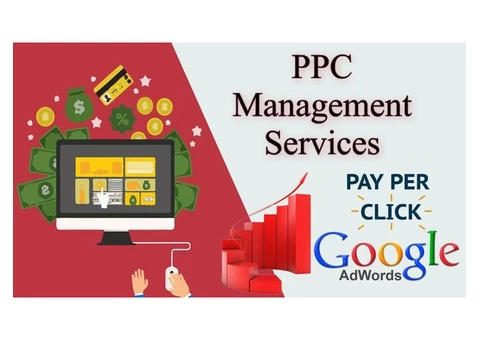 Select Bakoffis PPC Services: Drive Sales With PPC Management Services