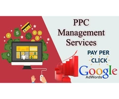 Select Bakoffis PPC Services: Drive Sales With PPC Management Services