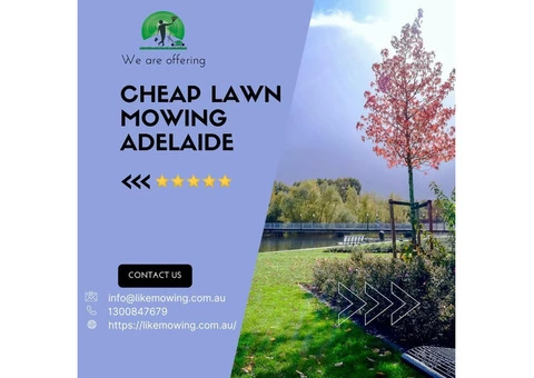 Gardening Services Adelaide, SA | Call on 1300847679 : Like Mowing - 2/3