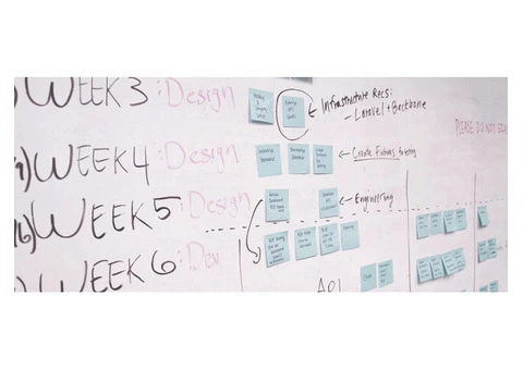 Bid and Tender Management