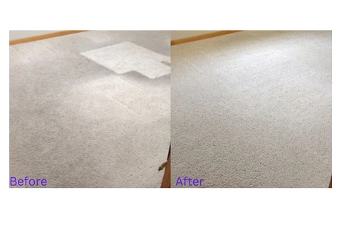 Affordable Carpet Cleaning Services in Canberra