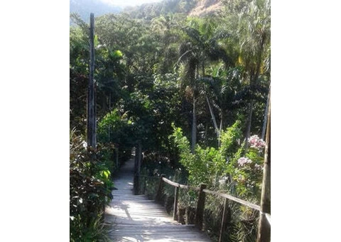 Want a mud bath experience in a Fijian village?