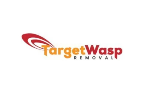 Target Wasp Removal Adelaide - 3/8