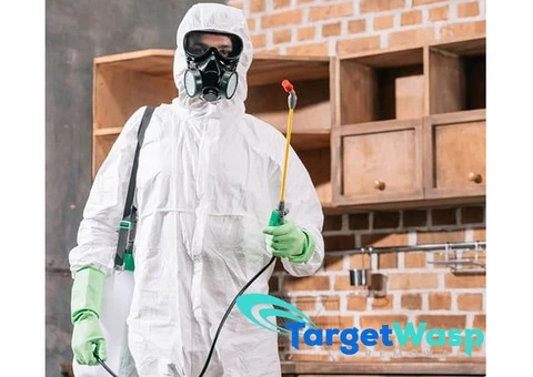 Target Wasp Removal Adelaide - 7/8