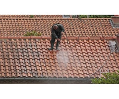Best Service For Terracotta Roof Demoss