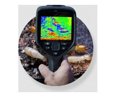 Pest Control Turramurra