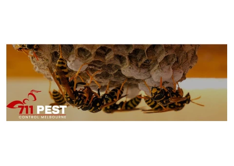 711 Wasp Nest Removal Melbourne - 3/3