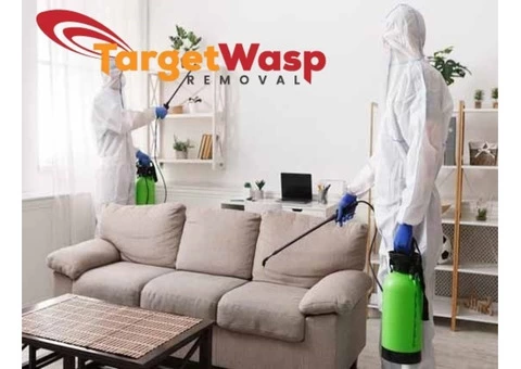 Target Wasp Removal Brisbane - 5/7