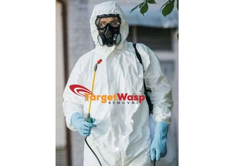 Target Wasp Removal Brisbane - 6/7