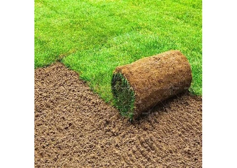 Turf Installation Melbourne