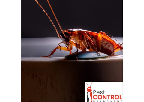 I Cockroach Control Melbourne - 2/4
