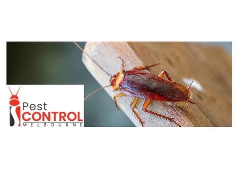 I Cockroach Control Melbourne - 3/4