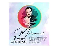 Professional web designer