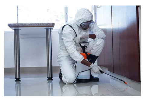 Preventive Pest Control Melbourne - 5/5