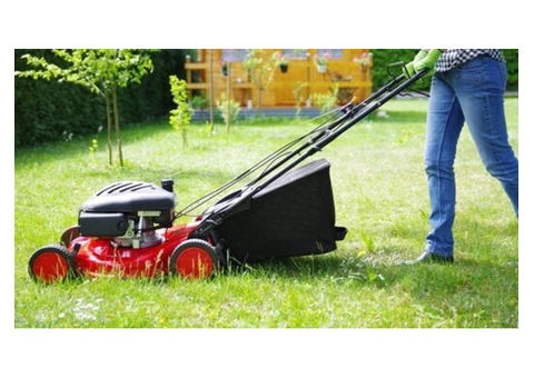 Best NDIS House Cleaning & Yard Maintenance Services in Marrickville