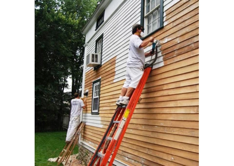 Painting central coast