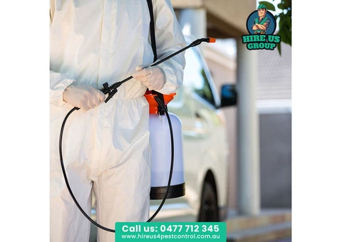 Professional, Eco-friendly Bee Removal Services