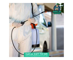 Professional, Eco-friendly Bee Removal Services