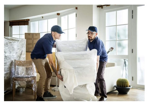 Northern beaches removals