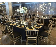 Our Tiffany chairs are perfect for any occasion!