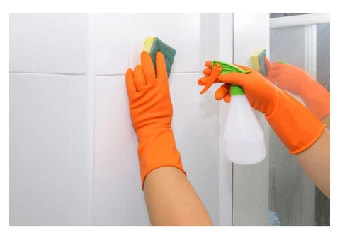 Best Mould Removal Service in Melbourne