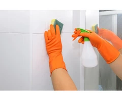 Best Mould Removal Service in Melbourne