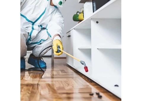 Preventive Pest Control Brisbane