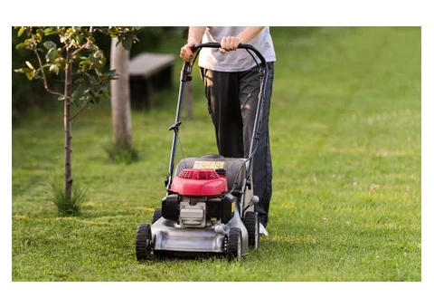 Best Lawn Mower in Melbourne - Mrsingh Melbourne Lawn Mower | Melbourne Garden Maintenance