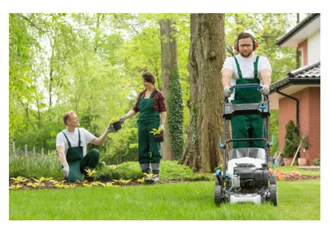 Best Lawn Mowing Services In Sydney | JBN Cleaning - 2/4