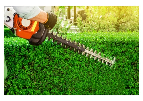 Best Lawn Mowing Services In Sydney | JBN Cleaning - 4/4
