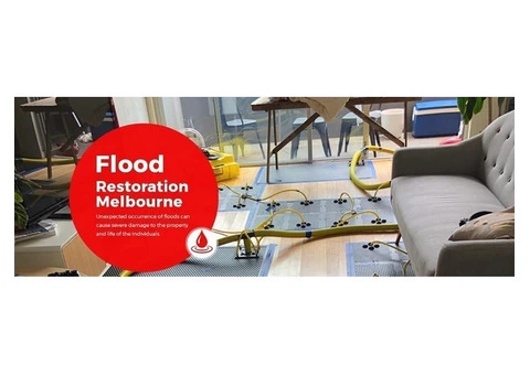 Find The Best Water Damage Restoration Company In Melbourne