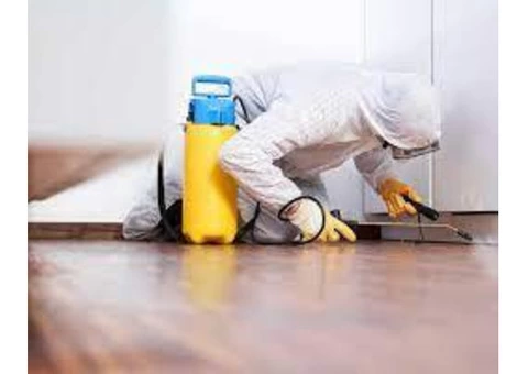 Preventive Pest Control Adelaide