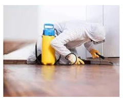 Preventive Pest Control Adelaide