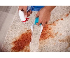 Professional Carpet Stain Removal in Hawthorn by Industry Experts