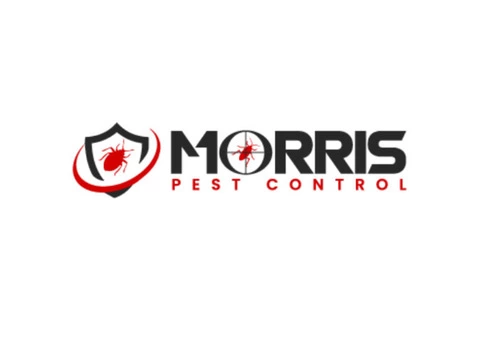 Morris Wasp Removal Melbourne