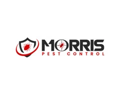 Morris Wasp Removal Melbourne