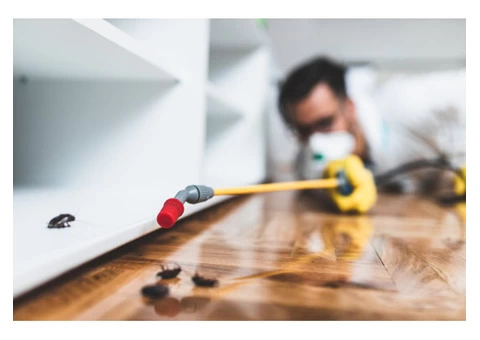 Morris Pest Control Canberra - 2/2