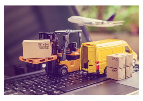 Urgently in need of customs clearance services?