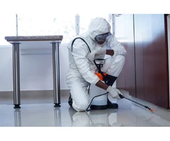 Preventive Pest Control Hobart