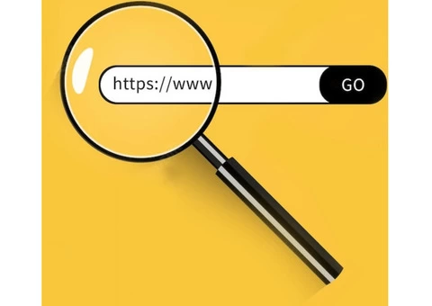 Professional SEO Services from Top Online Marketing Perth