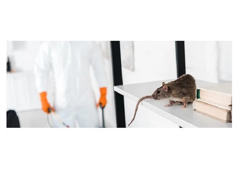 OZ Pest Control Melbourne - 5/6