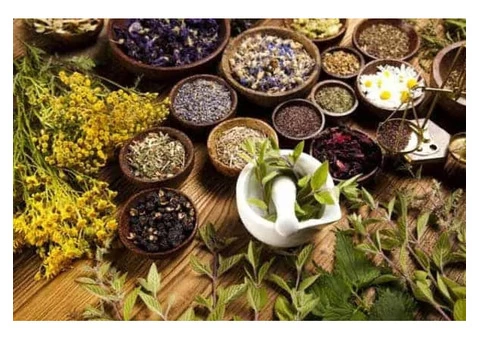 Best Naturopath in Sydney & Newtown Improves Your Health & Well-Being