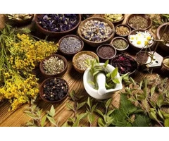 Best Naturopath in Sydney & Newtown Improves Your Health & Well-Being