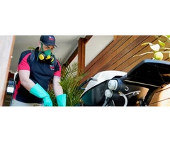 Fairview Park Pest Control | Thelocalguyspestcontrol.com.au