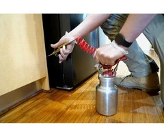 Pest Control Brisbane Southside | Thelocalguyspestcontrol.com.au