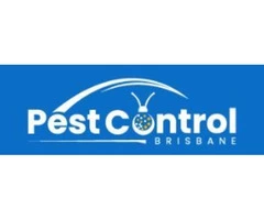Rodent Control Brisbane
